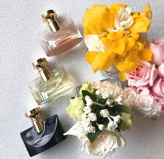 Mùi hương nước hoa Bvlgari Splendida Rose Rose dịu dàng nữ tính